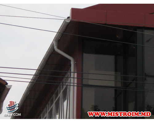 PIZZERIA г.Бельцы