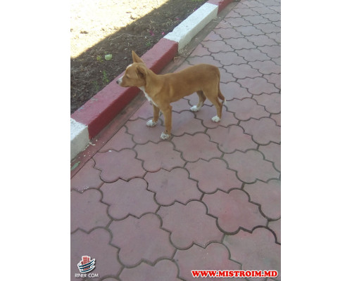 Заправки VAD-NORD