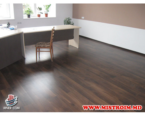 Офис SA RAUT  г.Бельцы